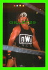 SPORTS, WRESTLING - LUTTE - CATCH - HULK HOGAN - WCW/NWO - 1998 SUPERSTARS - No 29 - - Wrestling