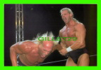 SPORTS, WRESTLING - LUTTE - CATCH - HULK HOGAN - WCW/NWO - 1998 SUPERSTARS - No 30 - - Wrestling