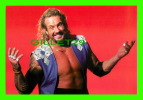 SPORTS, WRESTLING - LUTTE - CATCH - DIAMOND DALLAS PAGE - WCW/NWO - 1998 SUPERSTARS - No 33 - - Ringen