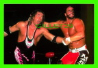 SPORTS, WRESTLING - LUTTE - CATCH - MACHO MAN & BRET  HART - WCW/NWO - 1998 SUPERSTARS - No 48 - - Ringen