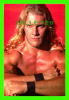 SPORTS, WRESTLING - LUTTE - CATCH - CHRIST JERICO - WCW/NWO - 1998 SUPERSTARS - No 85 - - Ringen