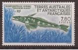 TAAF Y&T N°161 - 1991 - Neuf - Poisson Des Glaces : Champsocephalus Gunnari - Unused Stamps