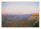 POSTCARD/ CARTE POSTALE / CARTOLINA U.S.A. ARIZONA  IL GRAND CANYON - Gran Cañon