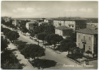 CESENATICO. VIALE CARDUCCI NEGLI ANNI '50 - Cesena