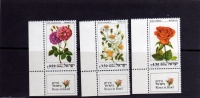 ISRAELE  1981 ROSE  MNH  - ISRAEL ROSES - Unused Stamps (with Tabs)