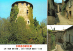 Carte Postale 69. Condrieu  Beau Plan - Condrieu