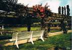 Bokrijk Rozentuin Met Pergola - Sonstige & Ohne Zuordnung