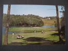 USA Grossinger Grossinger's NY Golf Island Post Card - Golf