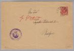 Heimat DE BW Saulgau 1919-05-07 Dienstganzsache - Postal  Stationery