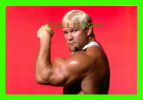 SPORTS, LUTTE - WRESTLING - CATCH - SCOTT CARL RECHSTEINER - WCW/NWO - WWE - No  63 - - Wrestling