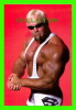 SPORTS, LUTTE - WRESTLING - CATCH - SCOTT CARL RECHSTEINER - WCW/NWO - WWE - No  64 - - Ringen