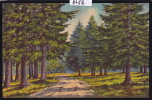 Le Locle - (postée En 1931) Forêt Peinte Par B. Jeanneret - Joli Affranchissement (8456) - Le Locle