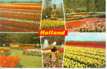 NETHERLANDS-HOLLAND IN BLOEMENTOO;FLOWERDECORATI ON;BLUMENSCHMUCK;EN PARURE DES FLEURS- CIRCULATED-1970 - Eindhoven