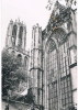 Utrecht Dom - Utrecht