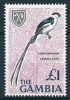 Gambia  1966  Vögel  (high Value)  1 Pfund  Mi-Nr.222  Falz * / MH - Gambie (1965-...)