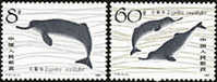 China 1980 T57 Chinese River Dolphin Stamps Fauna Marine Life - Sonstige & Ohne Zuordnung