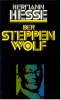 Der Steppenwolf  - Hermann Hesse - Geschichte Des In Sich Zerrissenen Intellektuellen Harry Haller - Duitse Auteurs