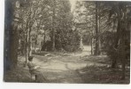 LA FRESNAYE Sur CHEDOUET  - Parc Guimier - Photo Servant. - La Fresnaye Sur Chédouet