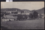 Les Brenets - Vue Panoramique  Vers 1923 ; Deux Petites Taches Blanches à Gauche Dans Le Ciel Et La Forêt (scan) (8477) - Les Brenets