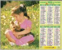 Calendrier La Poste 1995 / Photos, Petits Chiens, Caniche, Yorkshire Avec Petite Fille / Essonne - Grossformat : 1991-00