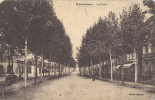 81 - RABASTENS - CPA - Les Lices - Rabastens