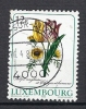 1142   OBL  Y  &  T   *tulipe Fleurs Fleur*    ""LUXEMBOURG"" - Usados