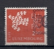 601   OBL  Y  &  T   *europa*   ""LUXEMBOURG"" - Used Stamps
