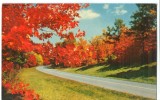 USA, Autumn Color Along The Parkway, Blue Ridge Parkway, Virginia-North Carolina, Unused Postcard [P8272] - Other & Unclassified