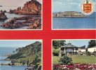 (809) Guernsey - 4 Views - Guernsey