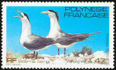 Polynésie Française. French Polynesia. 1981. Sterne Huppée (Thalasseus Bergii)  ** - Gaviotas