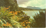 UNITED KINGDOM-LOCH EWE AND BEN AIRIDH CHARR FROM INVEREWE GARDENS,WESTER ROSS-CIRCULATED-1969 - Ross & Cromarty