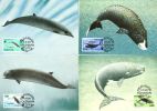 FAROE 1990 MICHEL No: 203-206 Maximumcards - Baleines