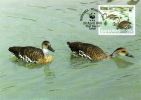 BAHAMAS 1988 MICHEL No: 674  Maximumcard - Canards