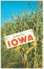 USA, Iowa, The Tall Corn State, Unused Postcard [P8291] - Autres & Non Classés