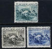 Netherlands B41-43 Mint Hinged Rembrandt Semi-Postal Set From 1930 - Neufs
