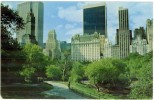 Etats Unis New York City Fifth Avenue Skyline Central Park Hôtels Office Buildingsin The Area CPSM BE - Central Park