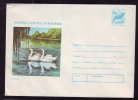 SWAN, 1977, COVER STATIONERY, ENTIER POSTAL, UNUSED, ROMANIA - Swans