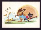 RABBIT, KAT, CHICKEN, COMICS, 1970, CARD STATIONERY, ENTIER POSTAL, SENT TO MAIL, ROMANIA - Lapins