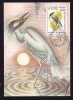 STORK, AUDUBON, 1985, CM. MAXI CARD, CARTES MAXIMUM, OBLITERATION FDC, ROMANIA - Storks & Long-legged Wading Birds