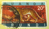 Ruanda Urundi 1959 Panthera Pardus 20f - Used - Gebraucht