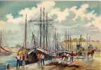 - BARRE & DAYEZ --BATEAUX DE PECHE--1497 C- -SUR LE QUAI-LES FILETS . - Barday