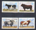 Zambia 1987 ** YT 420-23, Simmrntal Bull, Fiesian Holstein Cow, Sussex Bull, Brahaman Bull. - Vaches