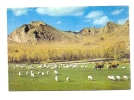 MONGOLIA- BOGDYN GOL RIVER-not  Traveled - Mongolei