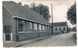 B3829     LOMMEL : Gemeenteschool Fr. Van Hamstraat ( Molen) - Lommel