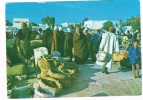 AFR-569  TUNIS : El Hamma : Jour Du Marche - Winkels