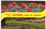 USA, Greetings From Illinois, Land Of Lincoln, 1960s Unused Postcard [P8376] - Autres & Non Classés