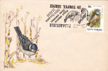 FOREST MONTH, BIRD, 1994, SPECIAL COVER, OBLITERATION CONCORDANTE, ROMANIA - Picchio & Uccelli Scalatori