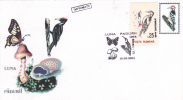 BIRD, BUTERFLY, MUSHROOMS, 2001, SPECIAL COVER, OBLITERATION CONCORDANTE, ROMANIA - Pics & Grimpeurs