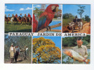 PARAGUAY JARDIN DE AMERICA - Paraguay