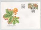 Norway FDC 22-2-1996 Wild Berries In Pair From Booklet With Nice Cachet - FDC